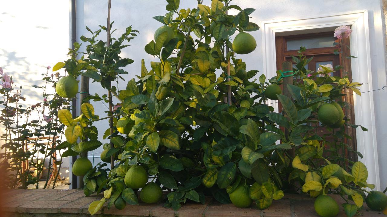 Borgo Patierno Guest House Conca della Campania Bagian luar foto