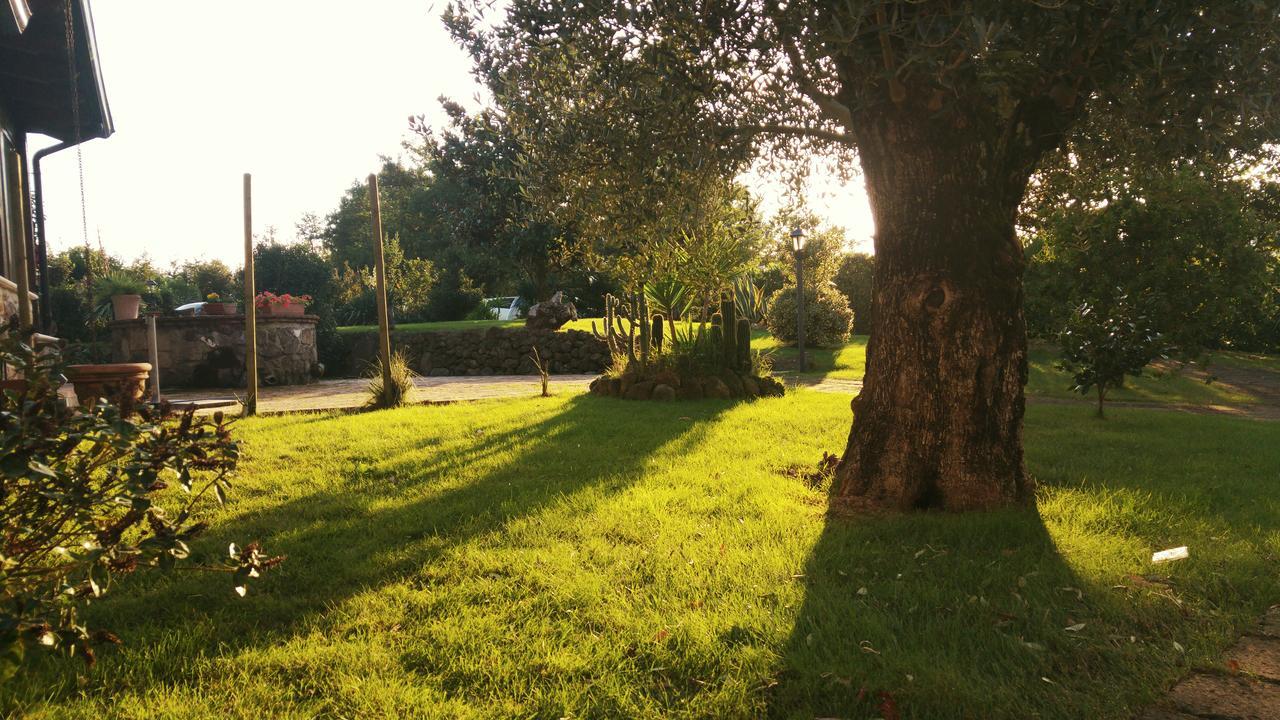 Borgo Patierno Guest House Conca della Campania Bagian luar foto
